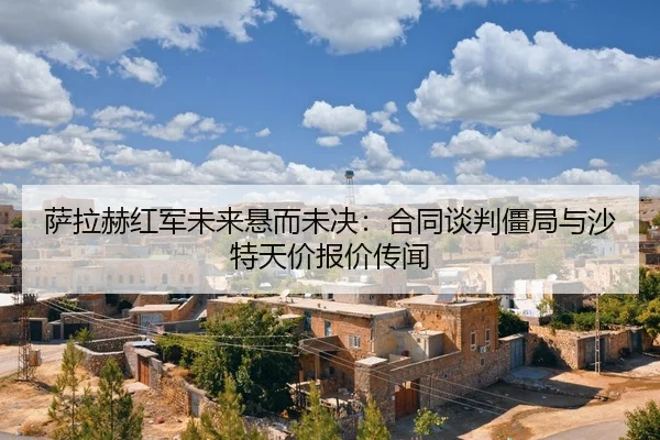 sa-la-he-hong-jun-wei-lai-xuan-er-wei-jue-he-tong-tan-pan-jiang-ju-yu-sha-te-tian-jia-bao-jia-chuan-wen-2-713.jpg
