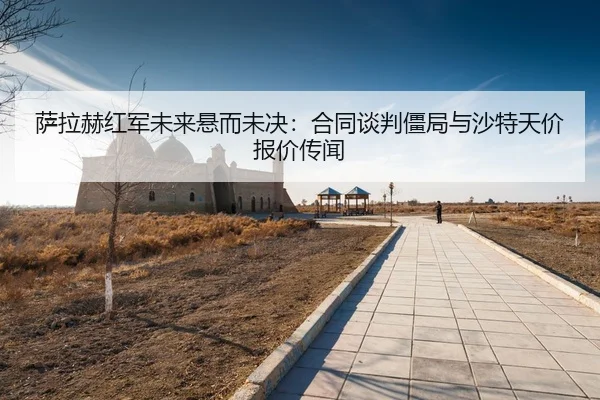 sa-la-he-hong-jun-wei-lai-xuan-er-wei-jue-he-tong-tan-pan-jiang-ju-yu-sha-te-tian-jia-bao-jia-chuan-wen-3-444.jpg