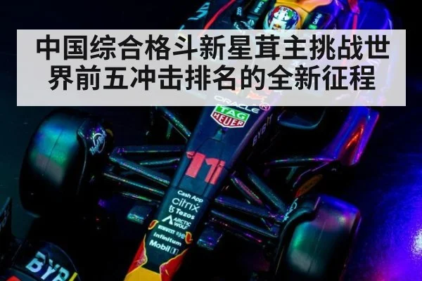 中国综合格斗新星茸主挑战世界前五冲击排名的全新征程